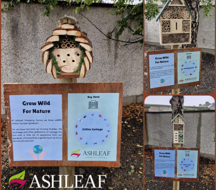 Ashleaf Shopping Centre Welcomes Bug Hotels to Boost Local Biodiversity